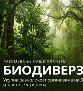 Биодиверзитет