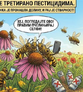Срећне пчеле