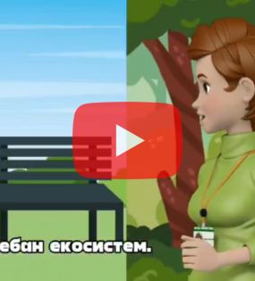 Екосистеми мреже живота