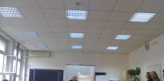 Развојне дисфункције