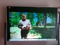 inostr00015 inostr00015