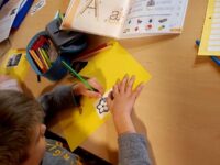 inostr00018 inostr00018