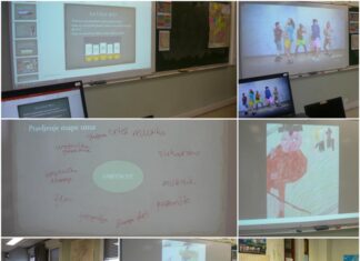 Међународна размена кроз иновативну наставу на даљину