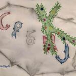 inostranstvo-20210602-24