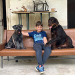 Георгије Лав Поповић, 3. разред, Штутгарт