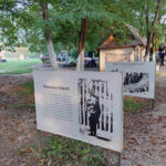 dijaspora-20221010-23