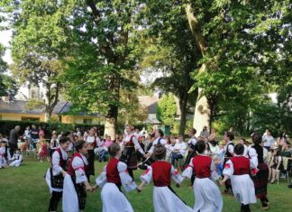 Видовданско надахнуће у Берлину