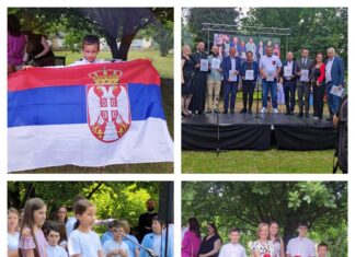 Видовданска академија