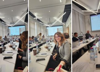 Радионица у оквиру пројекта Дуал ВЕТ Србија